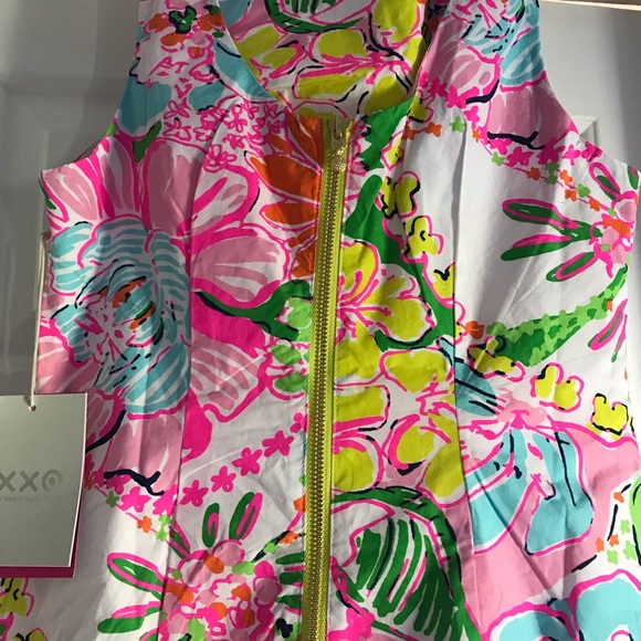 Lilly Pulitzer Nosey Posey Shift Dress sz. 6 - Picture 4 of 4